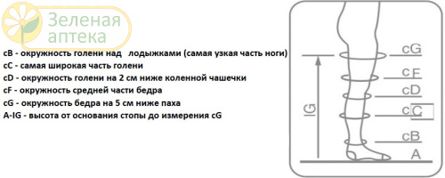 Чулки антиэмболические 2 класс компрессии размер 3 (L), белые  ERGOFORMA (Италия) в Зеленой аптеке. Изображение № 3