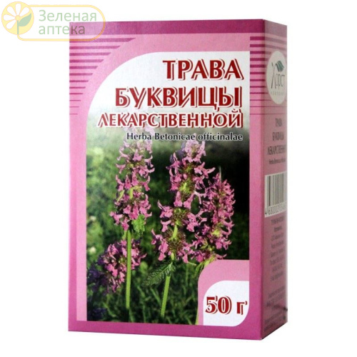 Буквица лекарственная трава 50г. в Зеленой аптеке. Изображение № 1