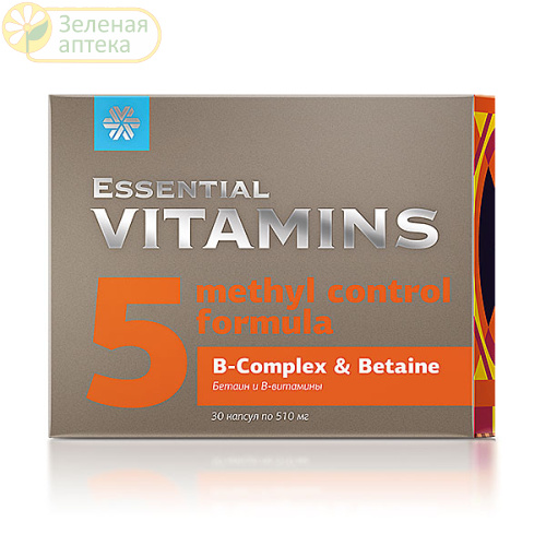 Бетаин и В-витамины - Essential Vitamins №30 капс (Сибирское здоровье) в Зеленой аптеке. Изображение № 1