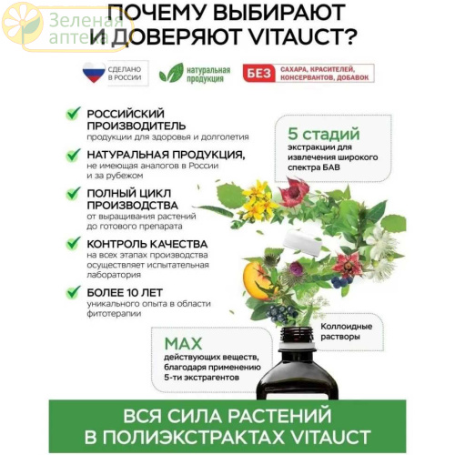 Софоры плодов экстракт 100 мл. (Vitauct) в Зеленой аптеке. Изображение № 2