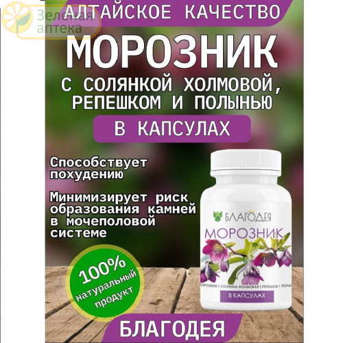 Морозник с солянкой, репешком и полынью №120 капс (Благодея) в Зеленой аптеке. Изображение № 2