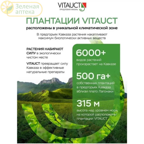 Софоры плодов экстракт 100 мл. (Vitauct) в Зеленой аптеке. Изображение № 3