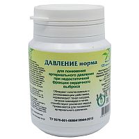 картинка Давление норма №90таб (Башкирия) в Зеленой аптеке
