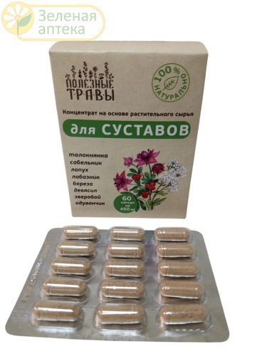 Для суставов фитокомплекс №60 капс (Пчела и человек) в Зеленой аптеке. Изображение № 1