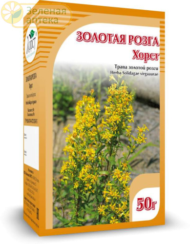 Золотая розга (золотарник) 50г в Зеленой аптеке. Изображение № 1
