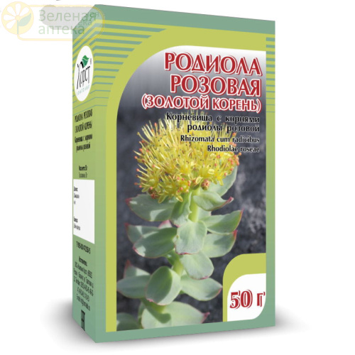 Родиола розовая (золотой корень) 50г. в Зеленой аптеке. Изображение № 1