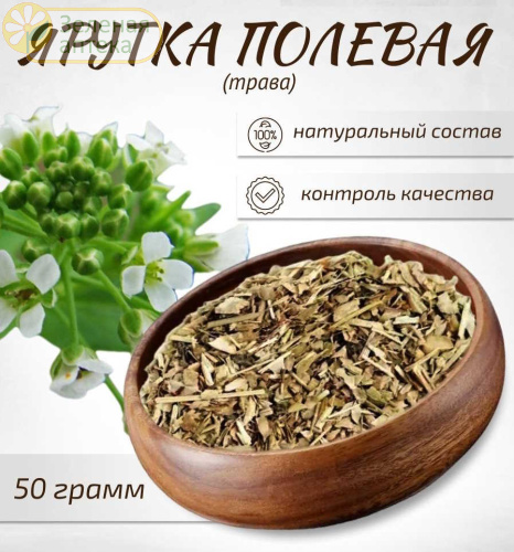 Ярутка полевая трава 50г. в Зеленой аптеке. Изображение № 3