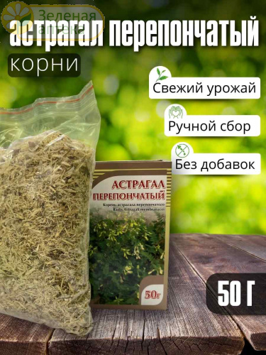 Астрагал перепончатый корень 50 гр в Зеленой аптеке. Изображение № 4