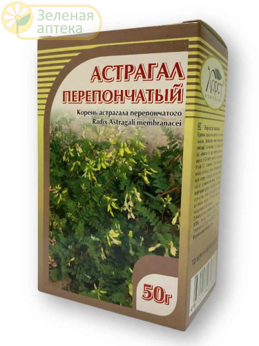 Астрагал перепончатый корень 50 гр в Зеленой аптеке. Изображение № 1